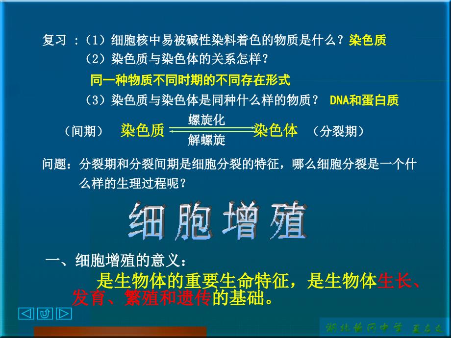 细胞增殖. - PowerPoint 演示文稿_第1页