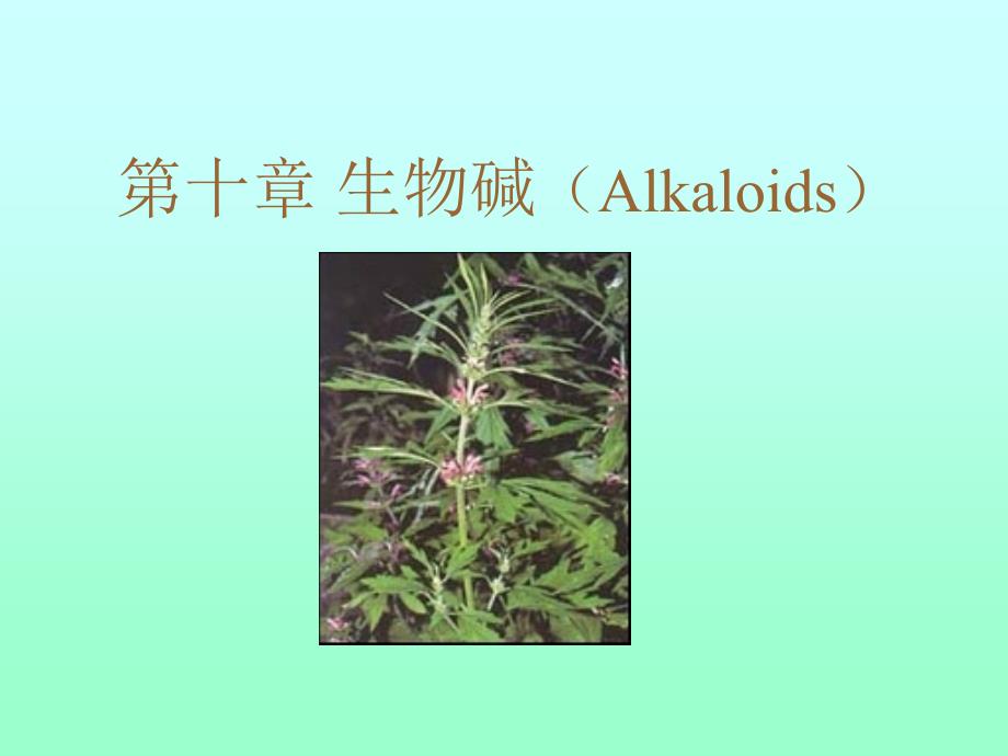 第三章生物碱（Alkaloids）_第1页