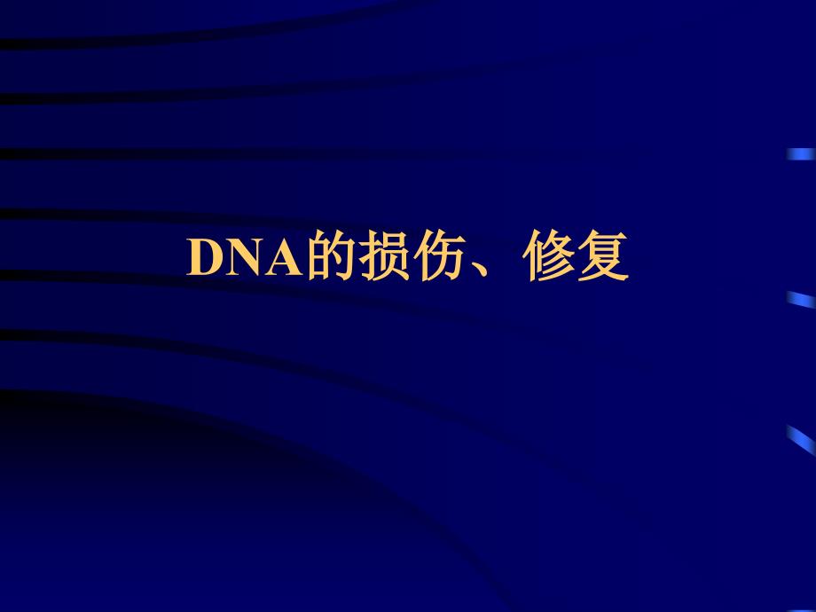 DNA损伤、修复(精品)_第1页