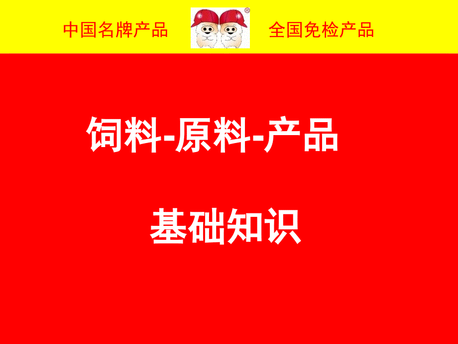 双胞胎一5饲料原料产品知识85913_第1页