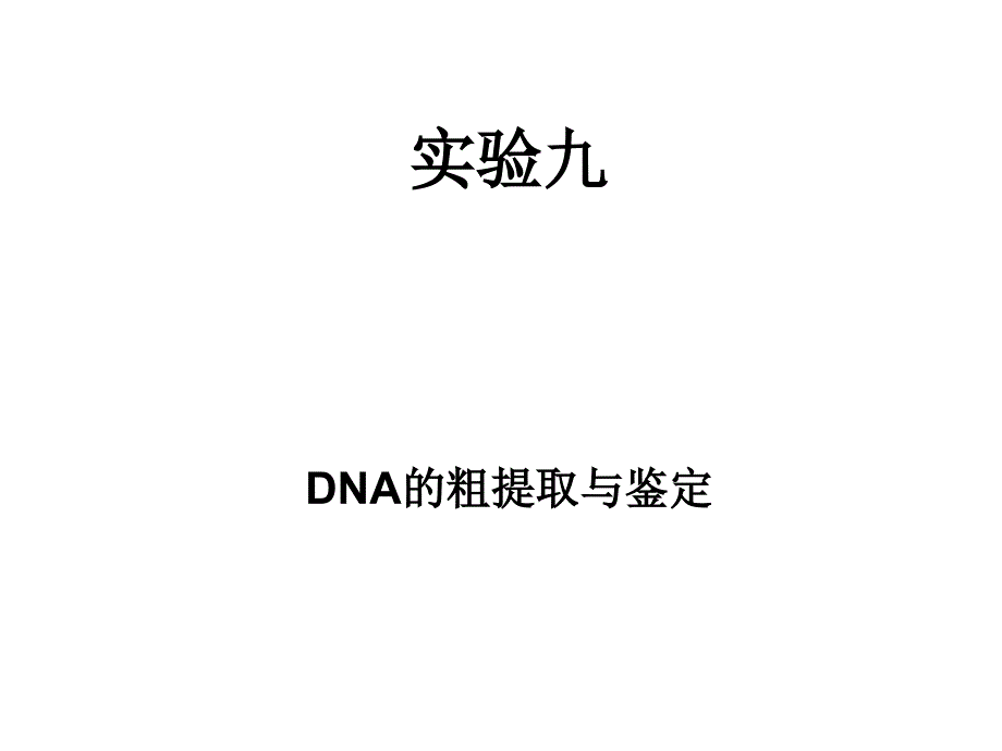 DNA的鉴定(精品)_第1页