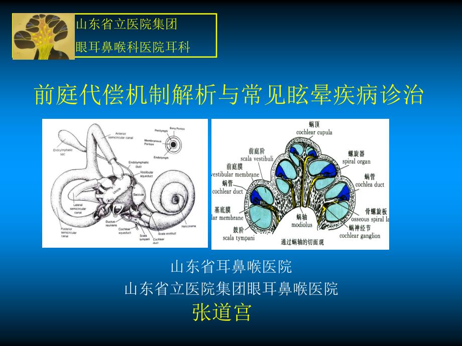 前庭代偿机制解析与常见眩晕疾病诊治-ppt课件_第1页