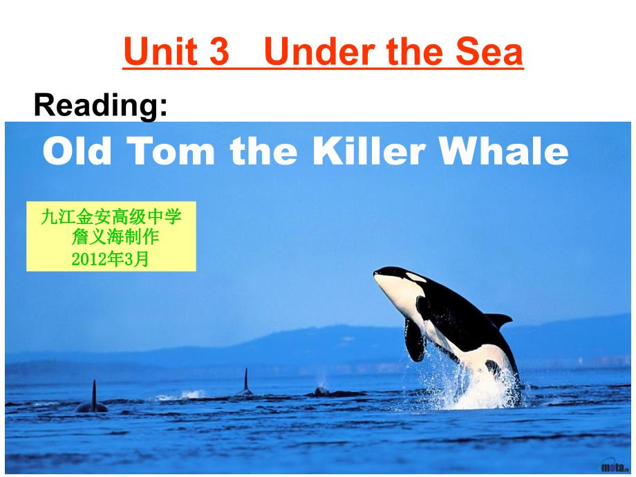 B7U3OldTomtheKillerwhale(精品)_第1页