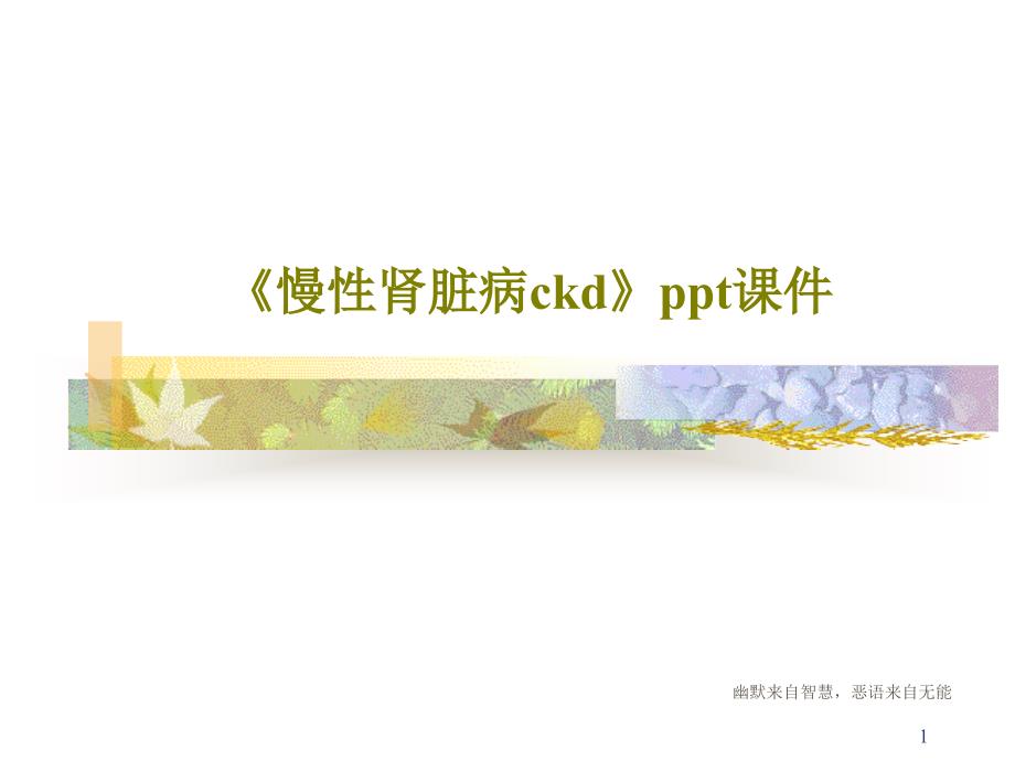 《慢性肾脏病ckd》课件38页_第1页