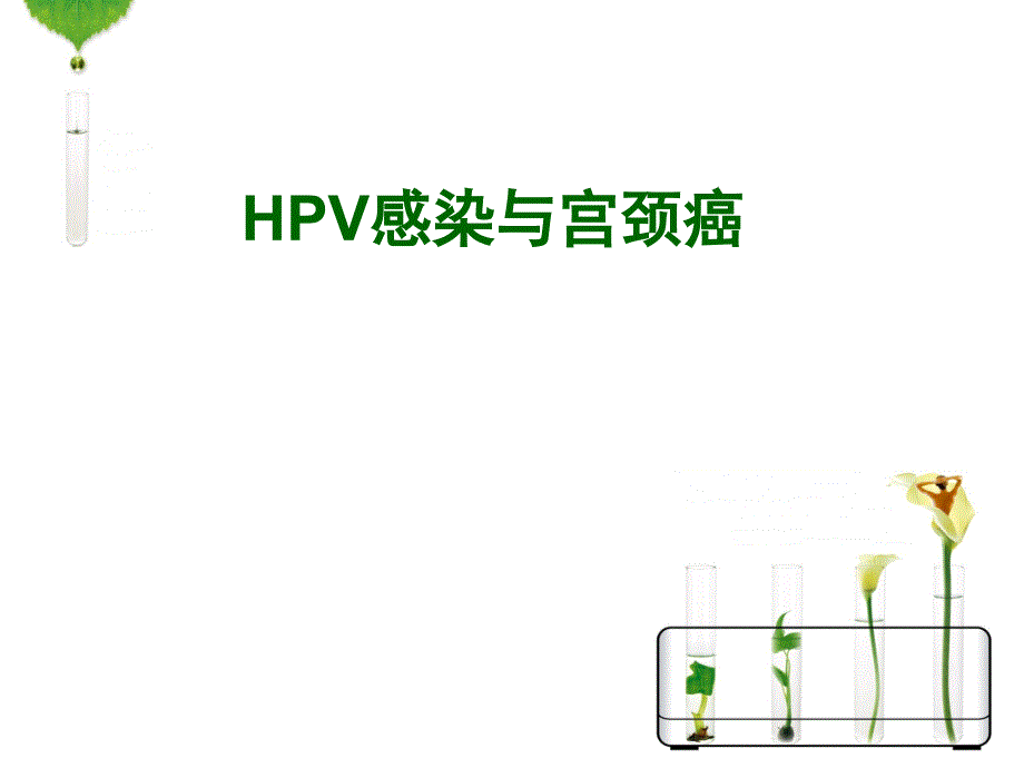 HPV感染与宫颈癌PPT演示课件_第1页