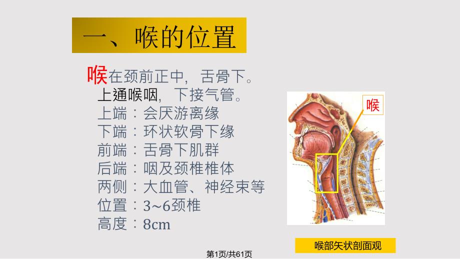 喉癌护理查房课件_第1页