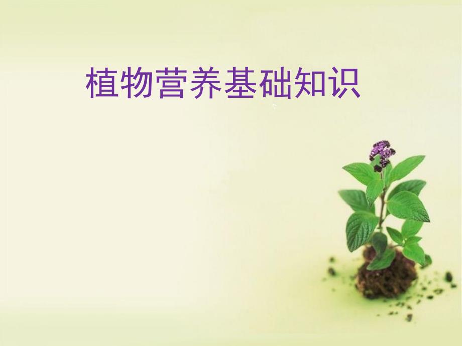 植物营养基础知识实用版课件_第1页