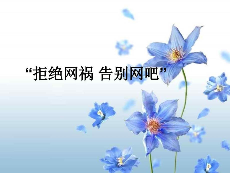 网络的危害主题班会课件_第1页