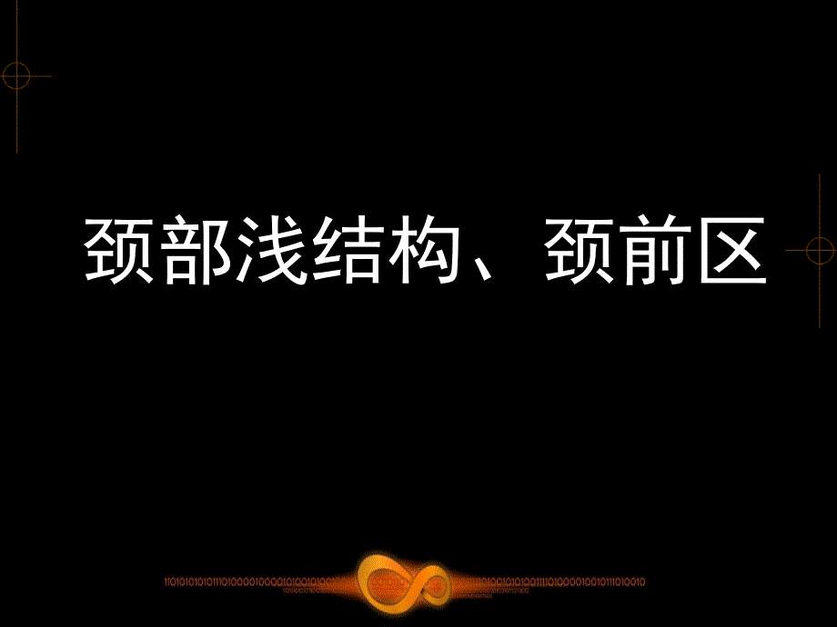 15--颈部浅结构、颈前区_第1页