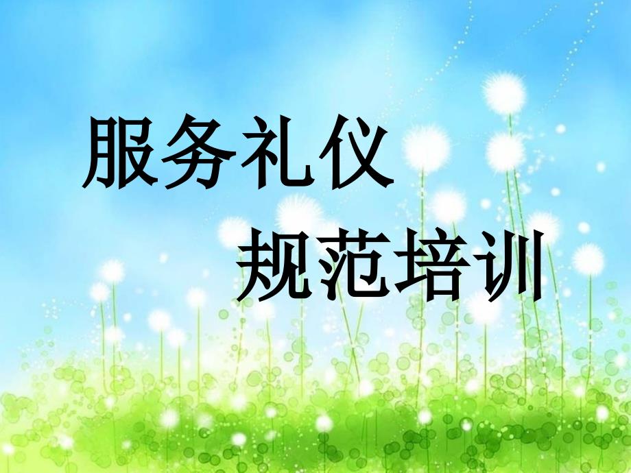 服务礼仪礼节培训iav_第1页