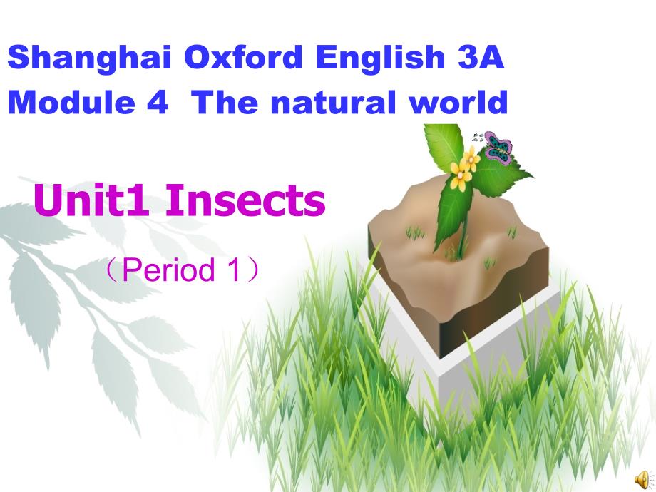 Insects课件_第1页