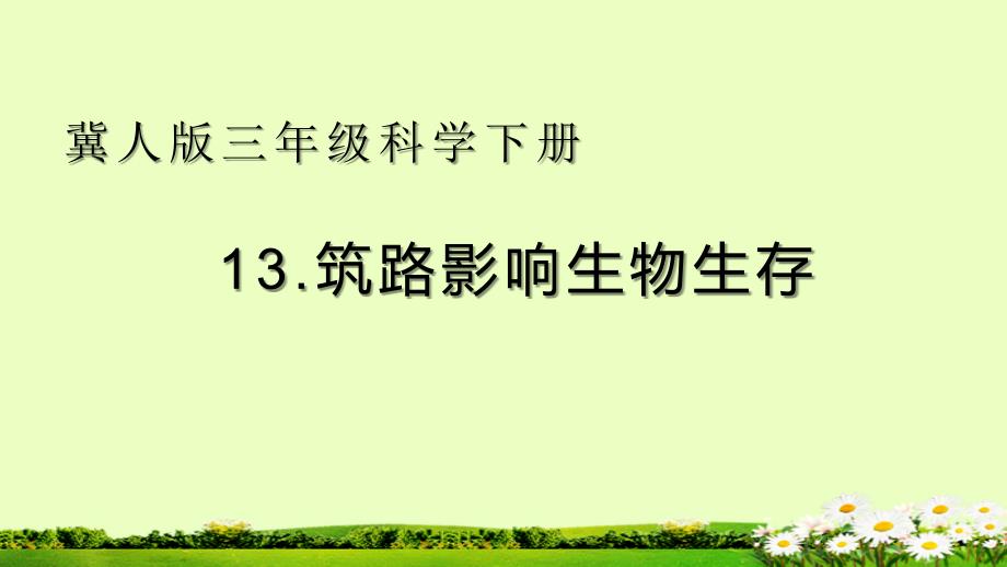 三年级下册科学ppt课件--13.《筑路影响生物生存》--冀人版_第1页