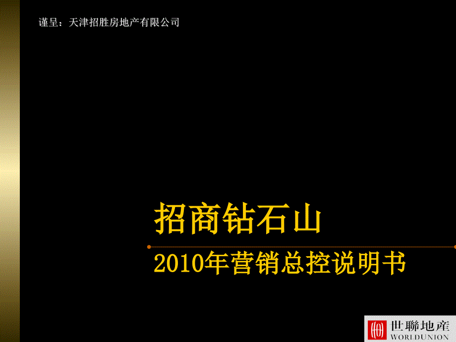 天津招商钻石山XXXX年营销总控说明dvyy_第1页