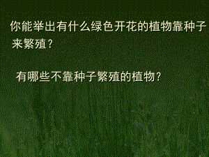 營養(yǎng)繁殖講課課件