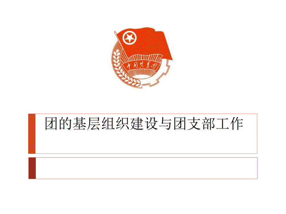 团组织建设和团支部建设dzyg_第1页