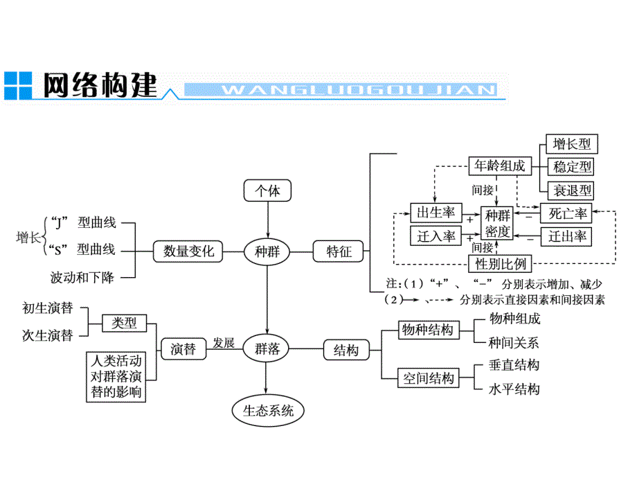 种群数量、种群密度、群落结构、群落演替_第1页