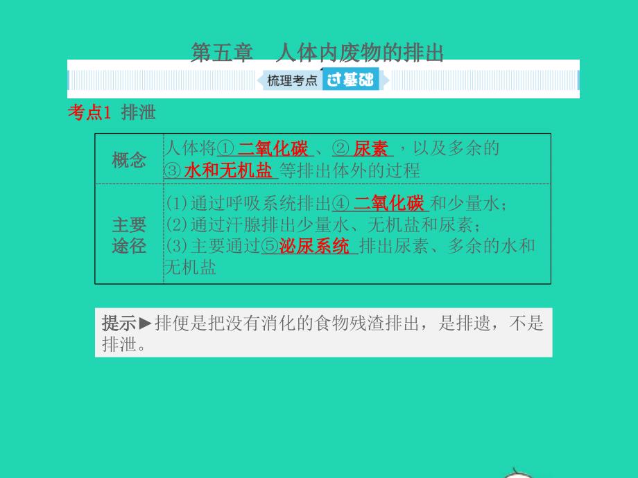 聊城专版山东省2019年中考生物总复习第四单元生物圈中的人第五章人体内废物的排出_第1页