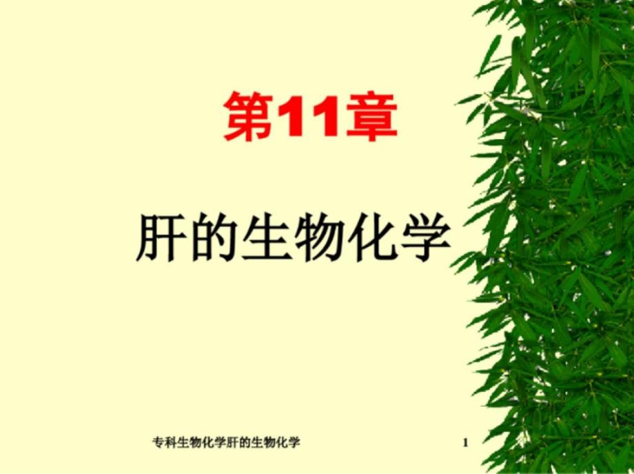 专科生物化学肝的生物化学ppt课件_第1页