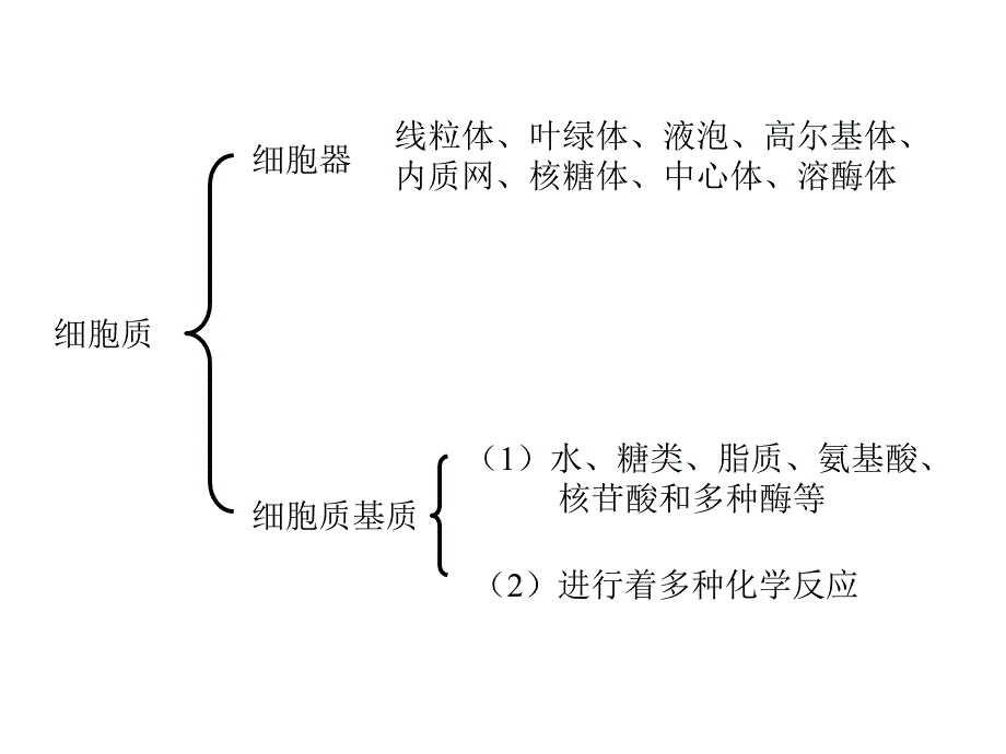 细胞器—系统内的分工合作_第1页