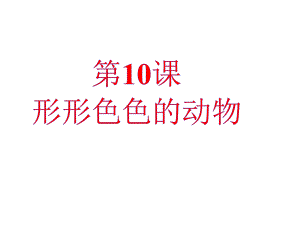 蘇教版一年級(jí)科學(xué)下冊(cè)第10課《形形色色的動(dòng)物》課件