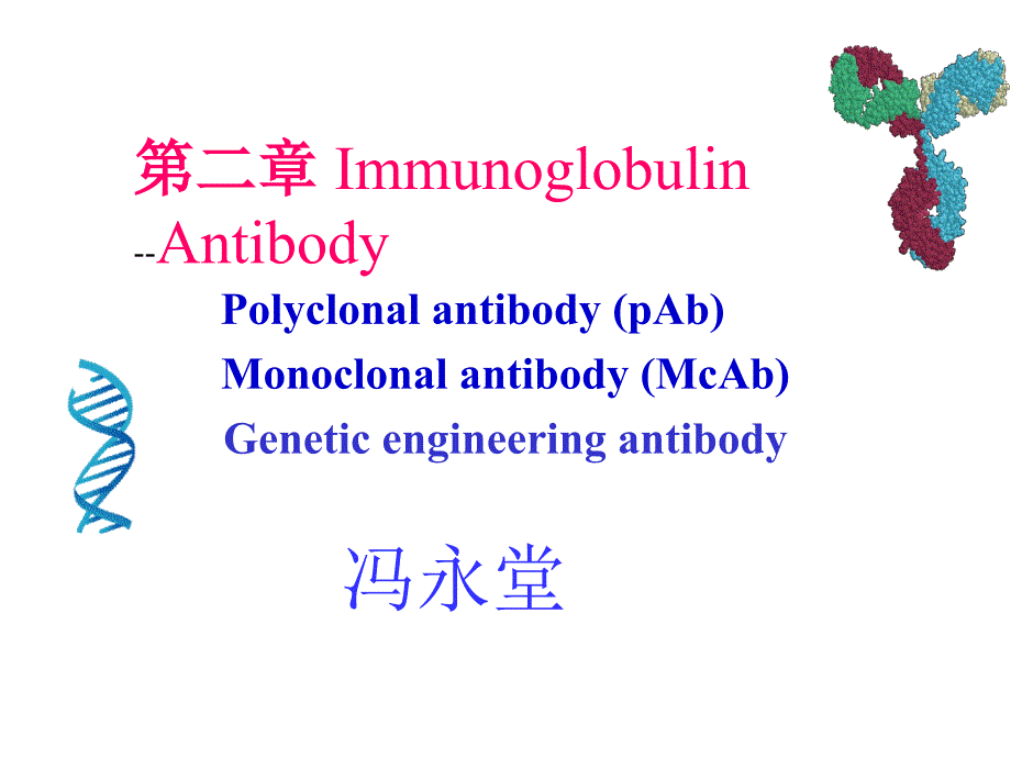 免疫球蛋白课件_第1页
