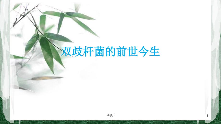 双歧杆菌的前世今生课件_第1页