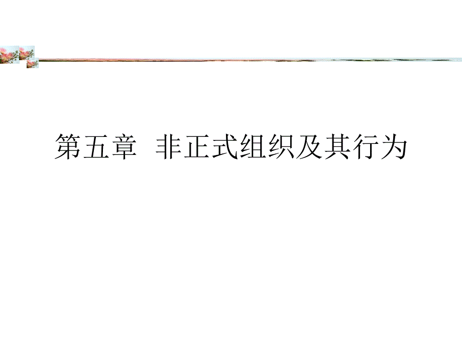 第五章非正式组织及其行为biga_第1页