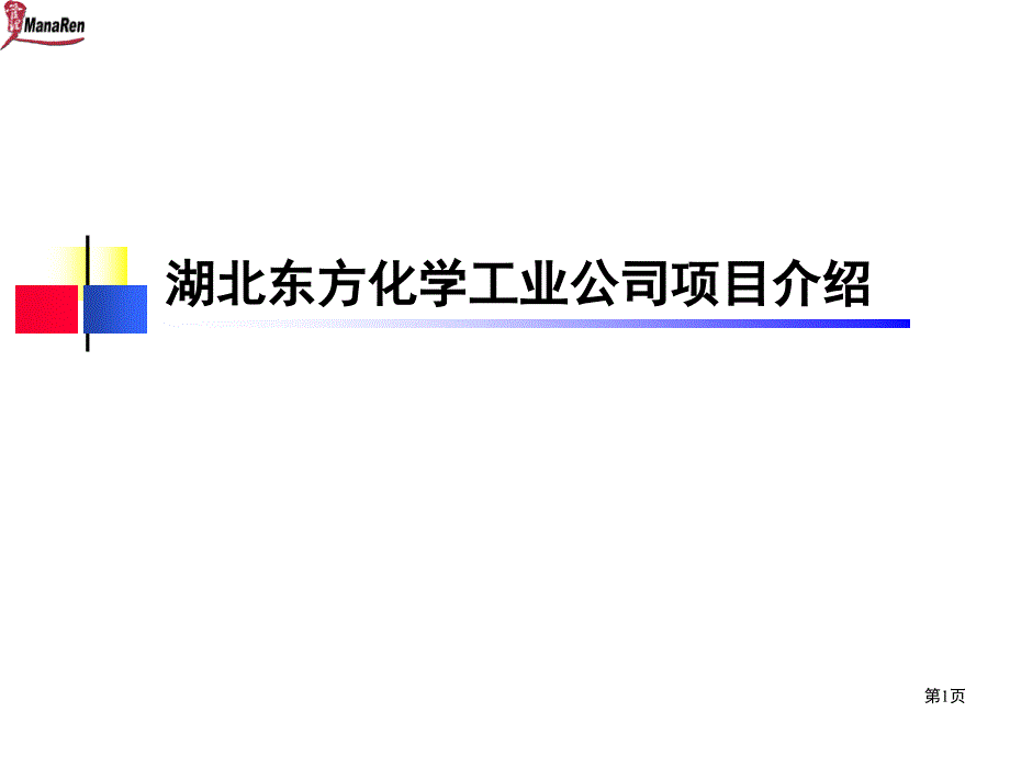 某咨询湖北东方化学工业项目建议书cogm_第1页