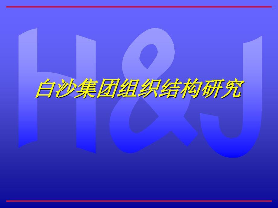 白沙集团组织结构研究分析sbv_第1页