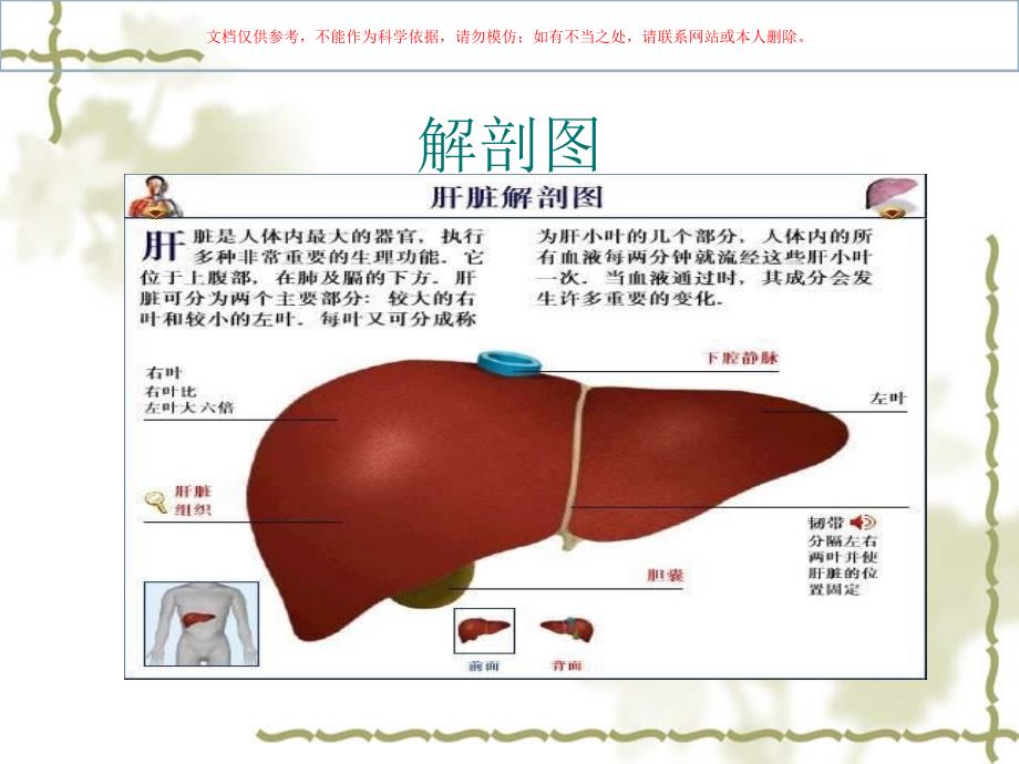 右半肝切除术课件_第1页