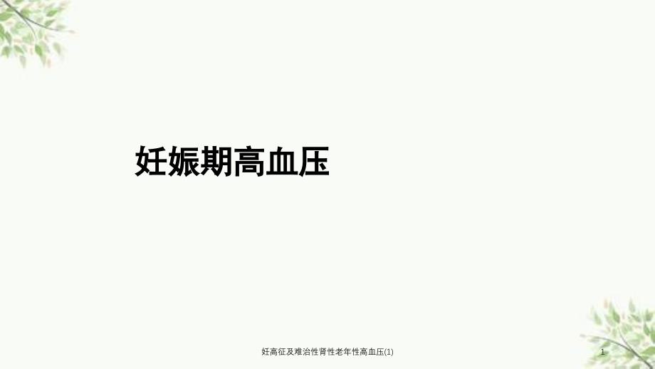 妊高征及难治性肾性老年性高血压-课件_第1页