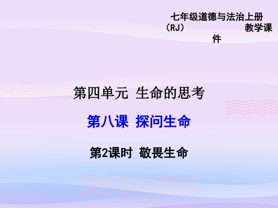 探问生命优秀课件1-人教版课件_第1页