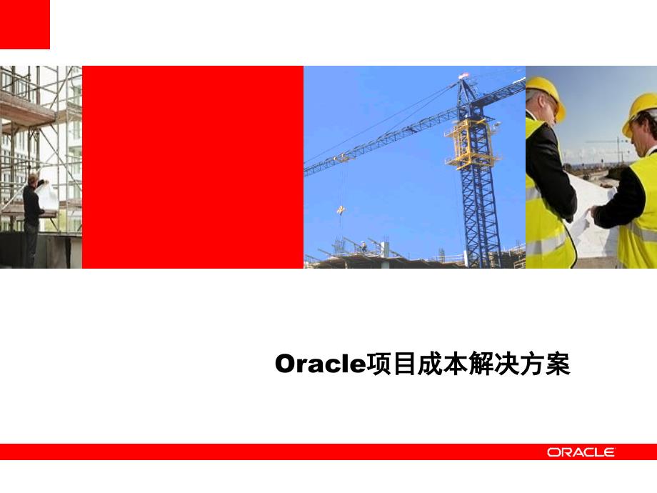 Oracle项目成本解决方案解析11338_第1页