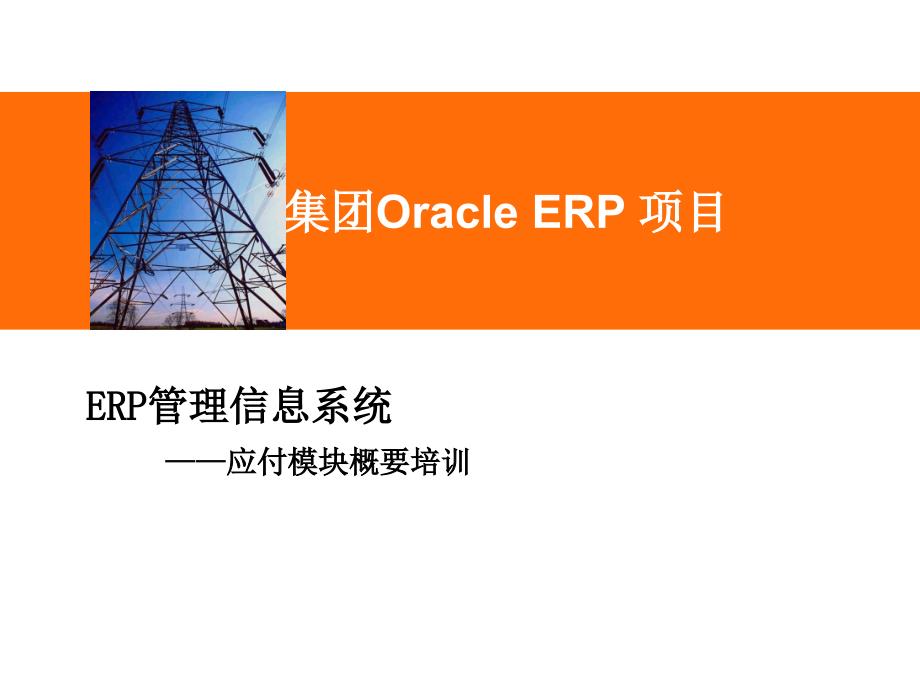 Oracle-ebs-R12-AP客户培训10946_第1页