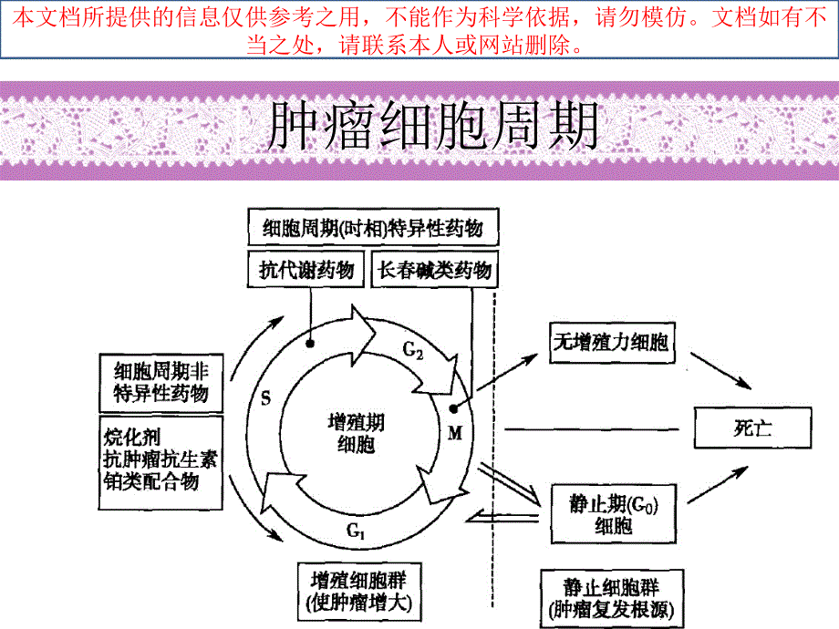 常见化疗药物顺序培训课件_第1页