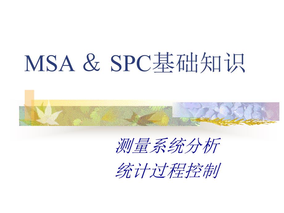 spc&amp;amp;msa基础知识15010_第1页