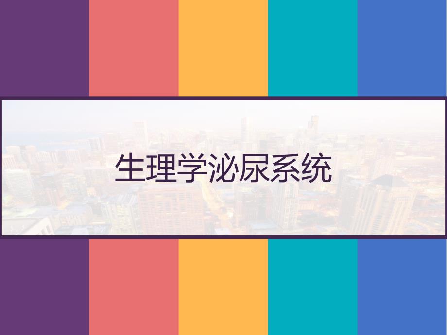 生理学泌尿系统-课件_第1页