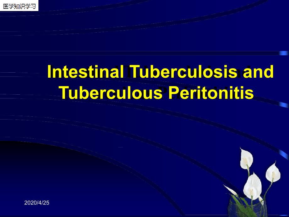 消化内科知识学习-肠结核与结核性腹膜炎8课件_第1页