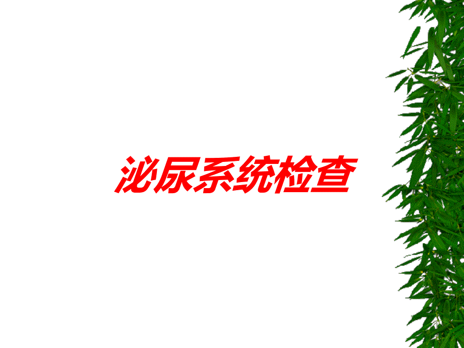 泌尿系统检查培训课件_第1页