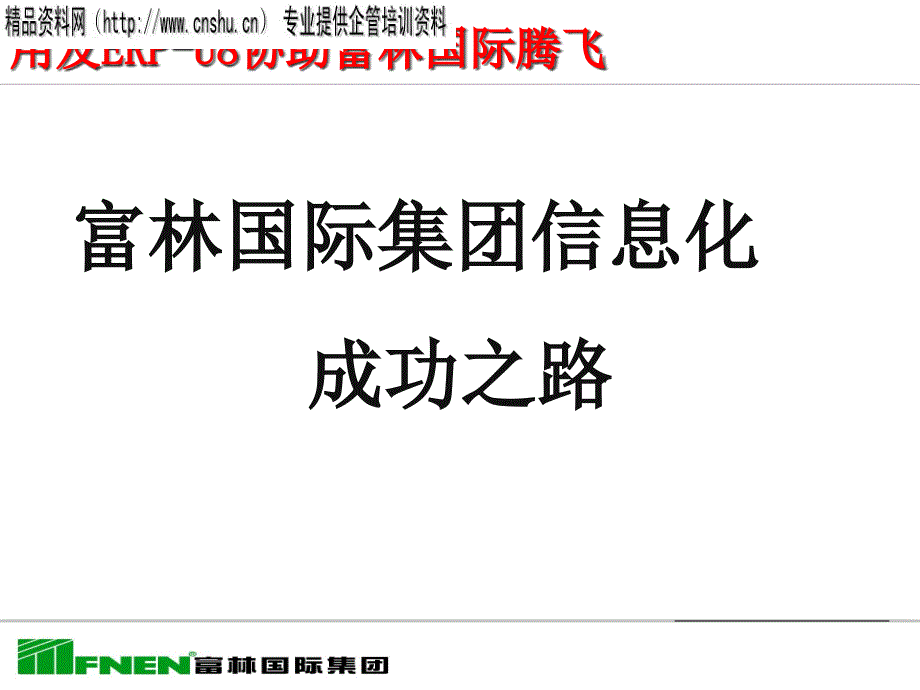 富林国际集团信息化成功之路(ppt17)24735_第1页