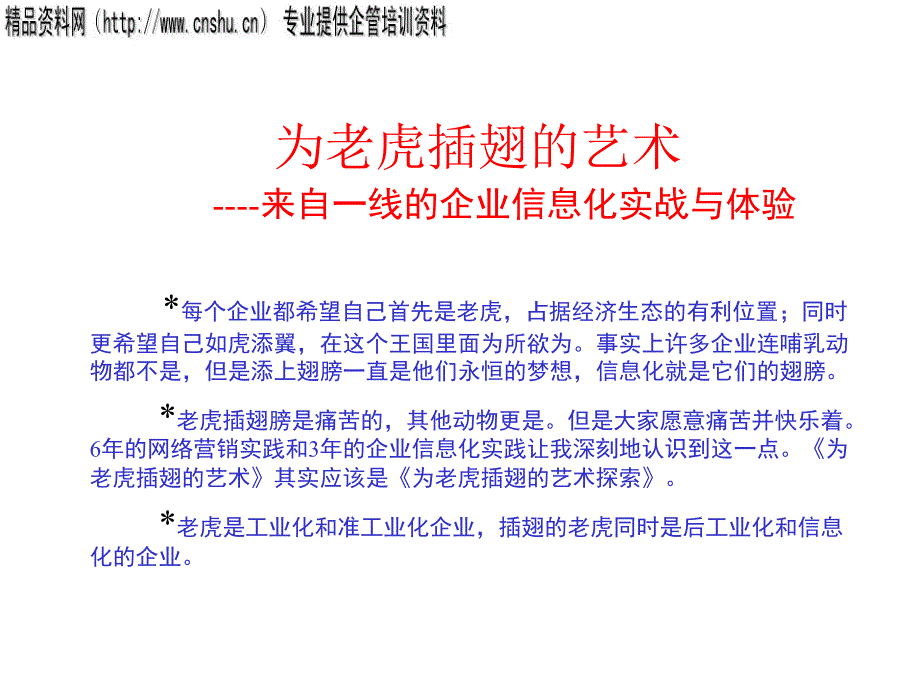 企业信息化实战与体验讲义34052_第1页