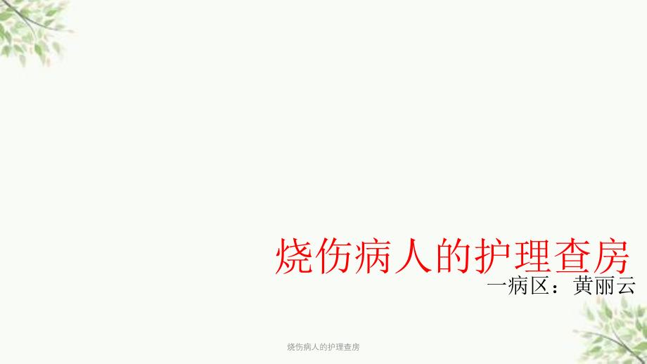 烧伤病人的护理查房课件_第1页