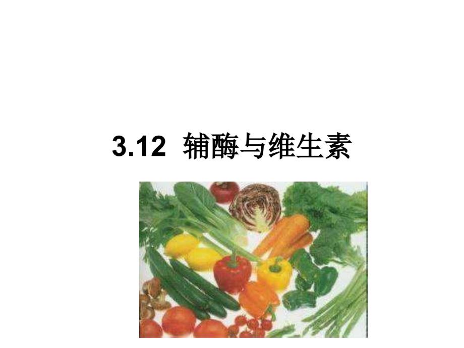 食品生物化学3.12维生素与辅酶ppt课件_第1页