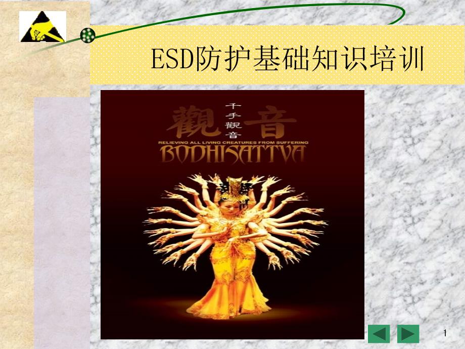 ESD防护技术培训教材_第1页