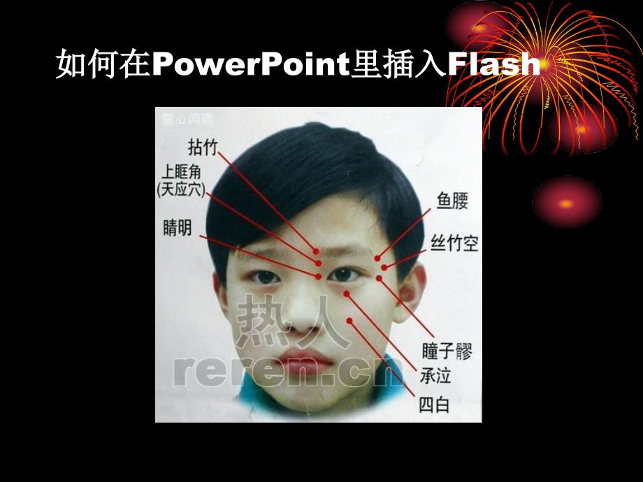 如何在PPT里插入Flash教程_第1页