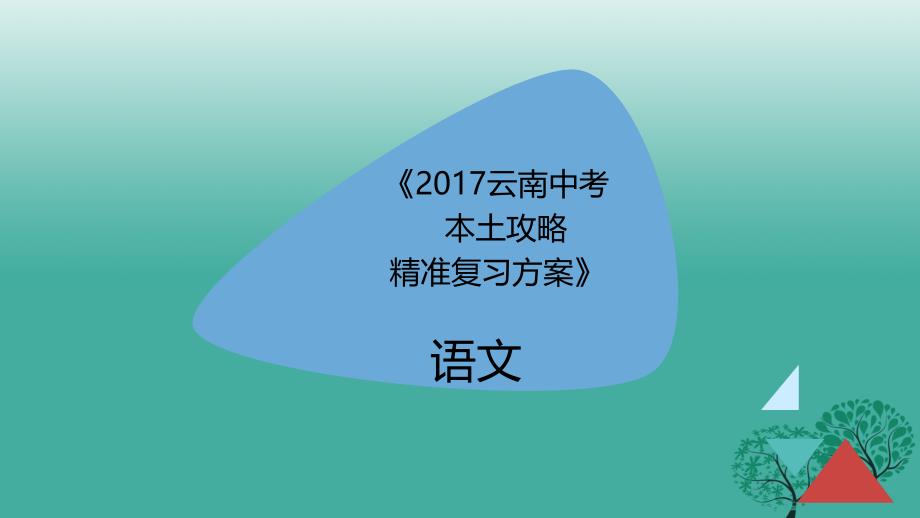 【本土攻略】云南省中考语文 专题二 词语的理解和运用精准复习课件_第1页