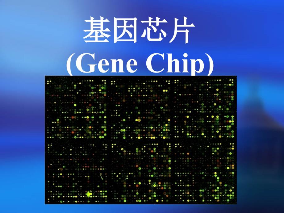 《基因芯片讲义》PPT课件_第1页