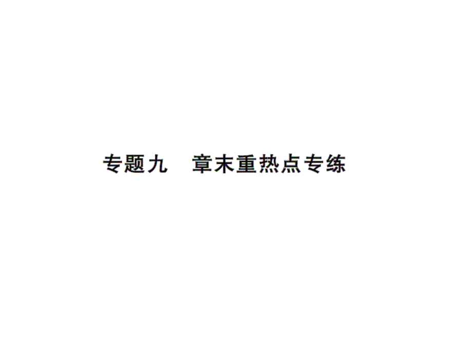 八年级数学上册人教版专题训练ppt课件：专题九_第1页