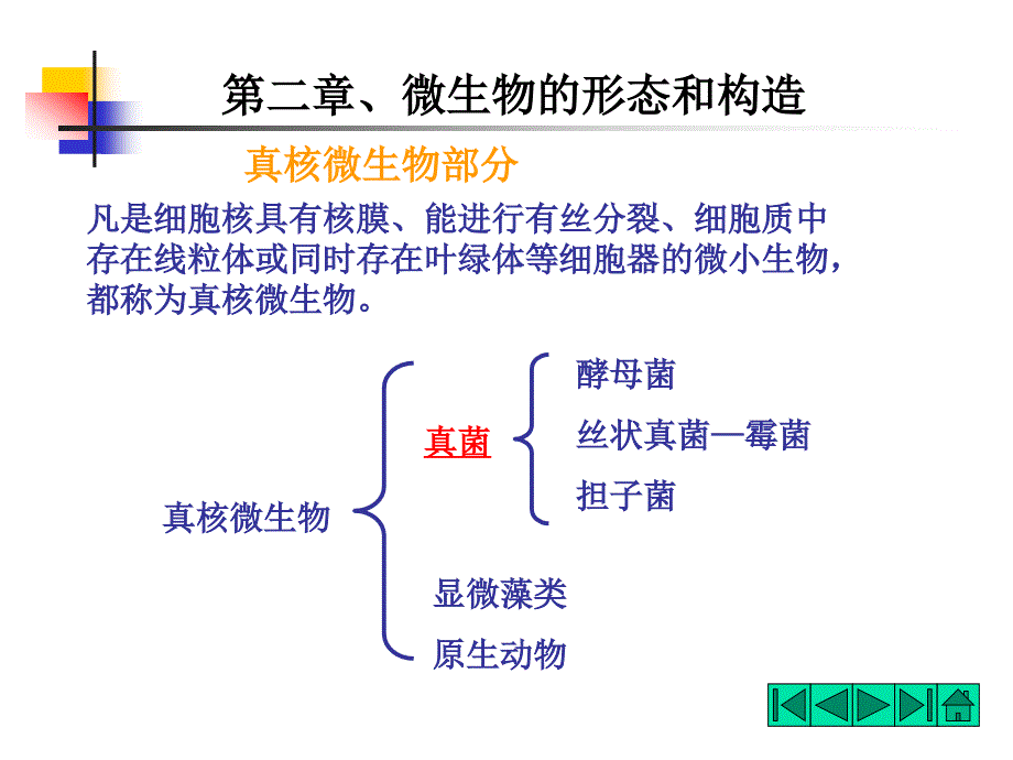 第二章 微生物形态-酵母菌(5-1)_第1页