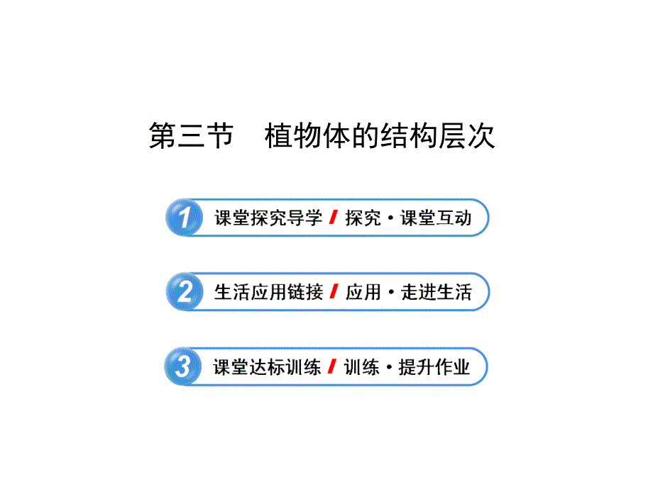 2013年秋七年级生物上册第二章第三节植物体的结构层次_第1页